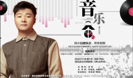 歌手白小白最新爆料,揭秘音乐背后的故事与心路历程